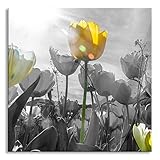 Utilisation : exprimez vos murs avec les images en verre uniques de Pixxprint et créez vos espaces de vie pour se sentir bien à l'aide de peintures murales impressionnantes avec une brillance colorée. Que ce soit pour le salon, la chambre à coucher, la chambre d'enfant, la salle à manger, le couloir, la cuisine, la salle de bain, le bureau ou le bureau, trouvez l'image parfaite pour votre maison ou votre lieu de travail parmi un choix de plus de 5 000 motifs uniques et 11 tailles Pixxprint.