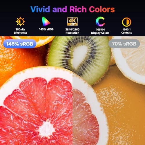 Triple Portable Monitor for Laptop