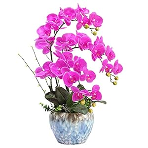 SLCHJX Künstliche Orchideen Bonsai mit Vase