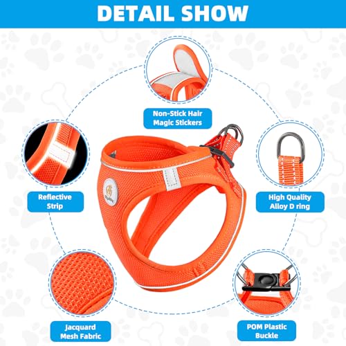 Hipubby Dog Harness and Leash Set, No Pull Soft Mesh Puppy Harness for Small Medium Dogs, Cats - Step in Reflective Breathable Lightweight Vest Harness for Walking, Training - Orange, S by Hipubby - Image 3