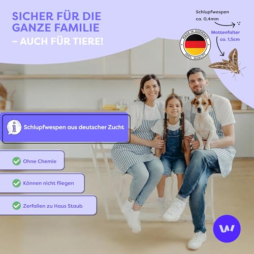 Wolkenfeld Schlupfwespen gegen Lebensmittelmotten – 1 Karte mit 1 Lieferung – Effektive & Chemiefreie Mottenbekämpfung… – Ansicht 5