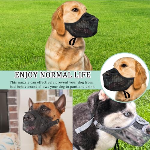 Fressschutz Hund, Maulkorb Mittlere Hunde, Giftköderschutz Hund für Spaziergänge & Training, Maulkorb für Große Hunde Atmungsaktiv und Verstellbar zur Biss- und Fresskontrolle