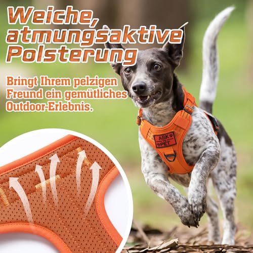 rabbitgoo Hundegeschirr mittelgroße Hunde, Anti Zug Geschirr Hund Verstellbar mit Griffe Verbreitert, Robust und Verschleißfest, Taktisches Hundegeschirr mit Metallschnallen zum Wandern(M, Orange)