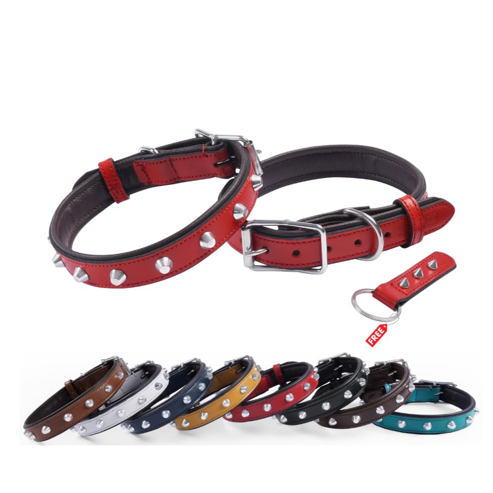 REDLUXE Genuine Leather Studded Dog Collar, Soft Padded Adjustable Pet Collar with Heavy Duty Buckle & D-Ring, Luxury Leather Collar for S, M & L Dogs, Includes Free Matching Keyring (RED, XL)