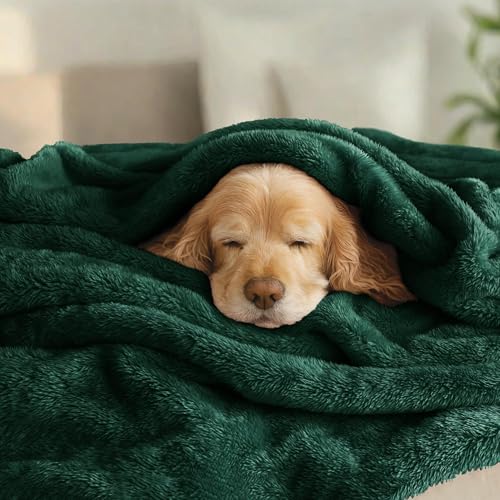 Image of Exclusivo Mezcla Plush Fuzzy Fleece Bed Blanket King Size, Super Soft, Fluffy and Warm Blankets for Couch, Bed, All Season (Forest Green, 90x104 inches)