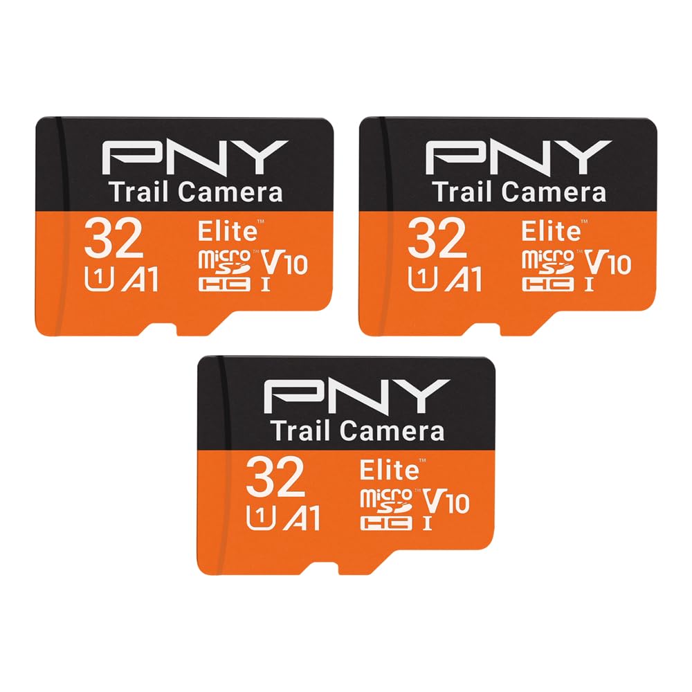 Amazon.com: PNY 32GB Elite Class 10 U1 V10 A1 microSDHC Trail