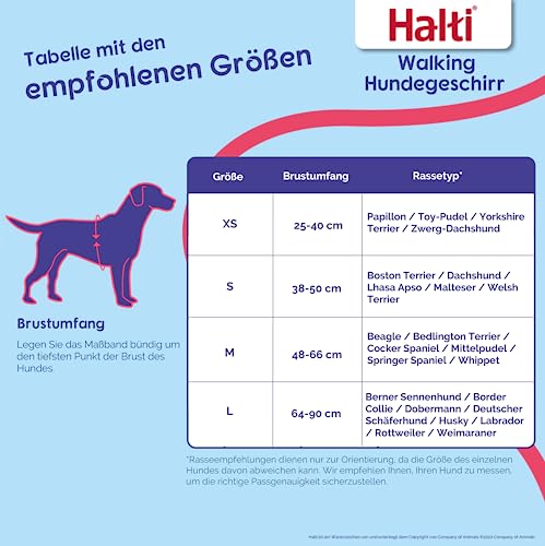 HALTI Walking Hundegeschirr – Mit weichem Neopren-gefüttertem Griff, 5 verstellbare Riemen und 3M-Reflektorgewebe. Geeignet für mittelgroße Hunde (Größe M, Lila)