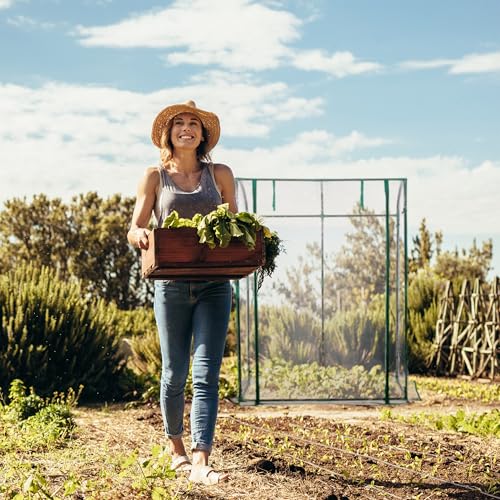 ONVAYA® Foliengewächshaus Günni mit Regalen & Fenster | Gewächshaus aus Folie für den Garten | Anzuchthaus | stabil, Winterfest & UV-beständig | 188 x 130 x 190 cm 4 ONVAYA® Foliengewächshaus Günni mit Regalen & Fenster | Gewächshaus aus Folie für den Garten | Anzuchthaus | stabil, Winterfest & UV-beständig | 188 x 130 x 190 cm – Bild 4