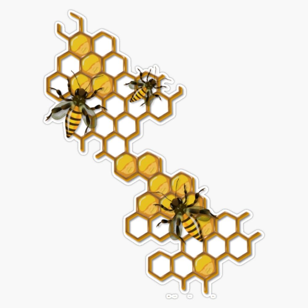 Bee Honeycomb Bumper Sticker Vinyl Decal 5"