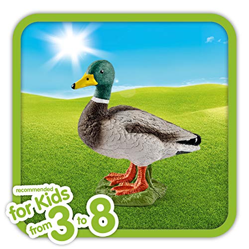 schleich 13824 Erpel, für Kinder ab 3+ Jahren, FARM WORLD - Spielfigur – Bild 3