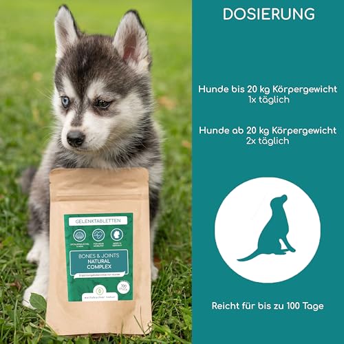 Wolfsbacher Gelenktabletten für Hunde mit Grünlippmuschel | 100 Stück - Made in Germany | hochkonzentriert, leicht zu füttern, hohe Akzeptanz | Teufelskralle, MSM und Glucosamin