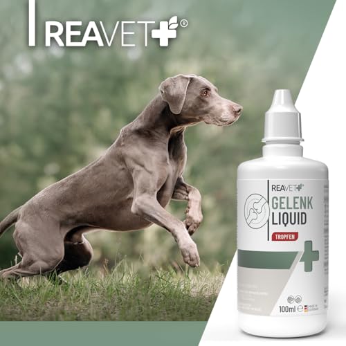 ReaVET Gelenk Liquid Tropfen für Hunde & Katzen – mit Glucosamin, MSM I zur Unterstützung der Beweglichkeit I Gelenk-Tropfen statt Gelenktabletten Gelenkpulver für Gelenke & Knochen