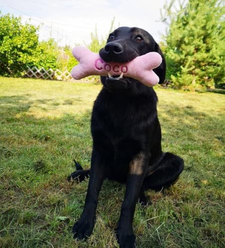 Generisch Personalisiertes Hundespielzeug Knochen mit Name – Welpengeschenk aus weichem Minky Plüsch – Hundeknochen mit Stickerei – Geschenk für Neue Hunde – Handmade