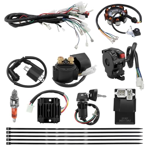 Image of PRO BAT ATV Quad Complete Electrics AC Wire Harness Kit with CG-8 Stator | 6-Pin AC CDI Multi-Functional ATV Switch Ignition Coil Solenoid Relay Spark Plug for 150cc 200cc 250cc 300cc Zongshen Lifan