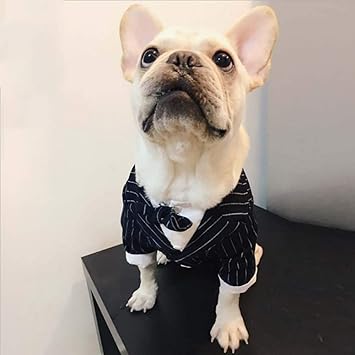 Amazon 黒い犬のタキシードスーツの子犬の結婚式の服コート犬の衣装中型 Yanw 色 Striped Suit サイズ さいず L L Yanw コスチューム 通販 Amazon 黒い犬のタキシードスーツの子犬の結婚式の服コート犬の衣装中型 Yanw 色 Striped Suit サイズ さいず L L Yanw コスチューム 通販