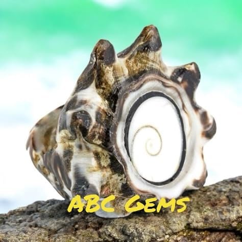 Miniatura 2 de ABCGEMS - Cuentas de concha de ojo de Shiva de color blanco perlado del océano Pacífico (solo se puede tallar una cuenta de la espiral central de