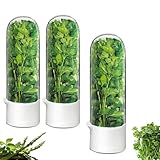 Minkeytal Herb Saver for Refrigerator - Herb Keeper & Cilantro Container for Fridge | Vegetable Preservation Storage Container for Cilantro, Basil, Asparagus | Extends Freshness Up to 2-3 Weeks