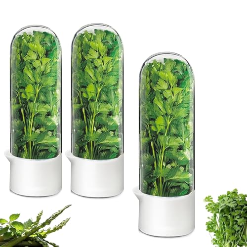 Image of Herb Saver for Refrigerator - Herb Keeper & Cilantro Container for Fridge | Vegetable Preservation Storage Container for Cilantro, Basil, Asparagus | Extends Freshness Up to 2-3 Weeks (3PCS)