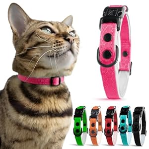 Durable Breakaway Cat Collar with Soft Padding for Medium to Large Cats, Tactical Fabric Exterior, Thin and Comfortable, High-Visibility, Quick Release Break Away, No Bell (Flamingo Pink, Adult)