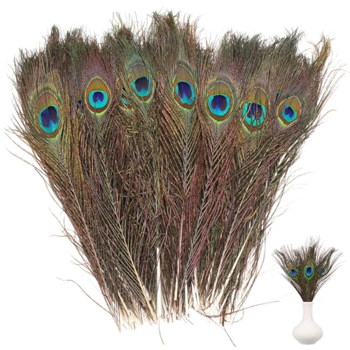 Plumas de pavo real con excelente flexibilidad y color opcional de calidad artística