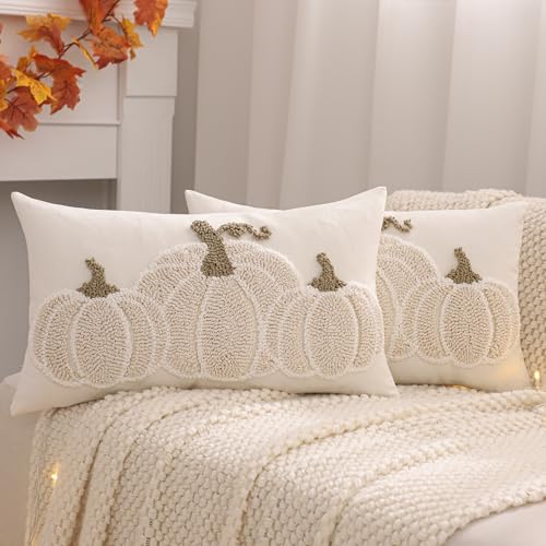 Tosleo Halloween Throw Pillow Covers 12x20 inch Set of 2 Halloween Beige Pumpkin Embroidered Pillow Cases Thanksgiving Home Party Pumpkin Fall Decor Pillowcases Lumbar Cushion Covers