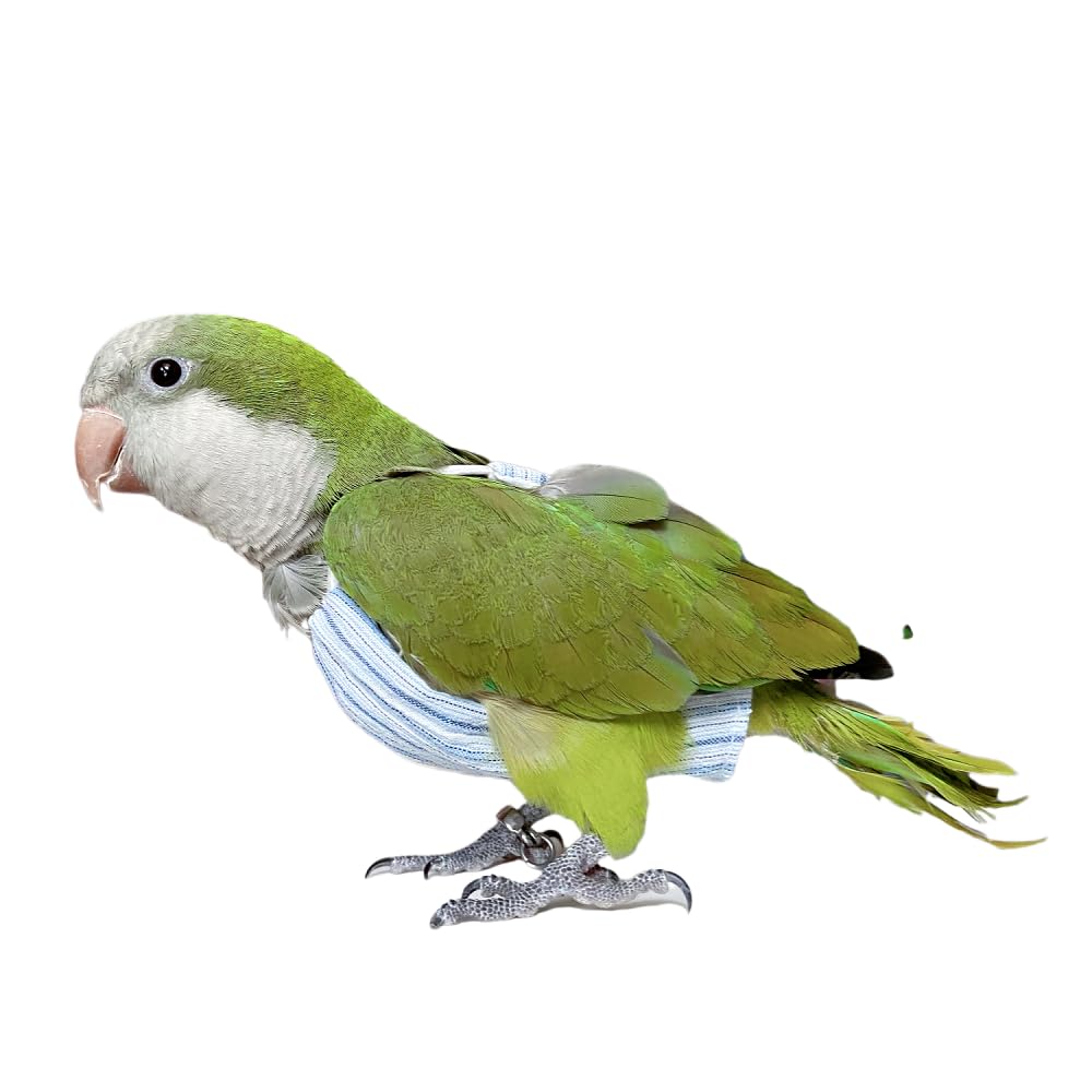 GSHYWFSSJ to Protect The Stomach and Belly Products of Birds, to Prevent Birds Pecking Feathers (2M)