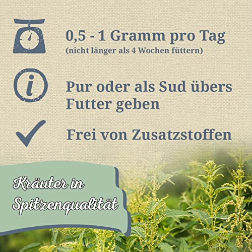 Krauterie Brennnesselsamen Hund, Einzelfuttermittel für Hunde (100 g), Ganze Samen der Brennnessel in Spitzenqualität