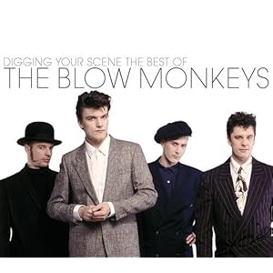 Digging Your Scene: The Best of The Blow Monkeys