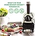 Yonanas 988BK Deluxe Vegan, Dairy-Free Frozen Fruit Soft Serve Maker, Includes 75 Recipes, 200 W, Black