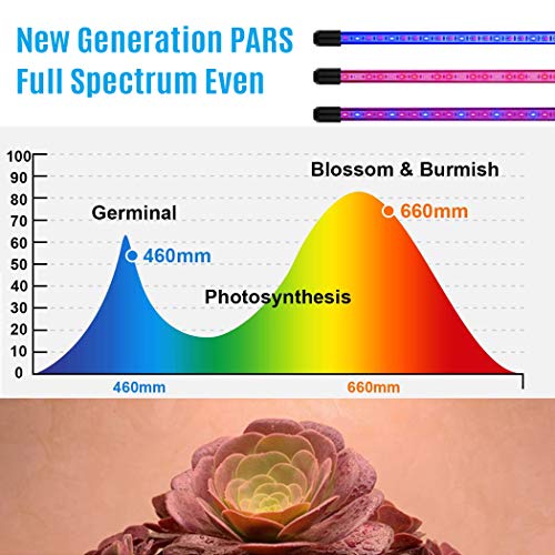 LED Grow Light for Indoor Plant - 60W Tri Head On Desk Plants Growing Lamp with 6 Dimmable Levels Auto Timer Perfect for House Garden Hydroponics Succulent Red Blue Spectrum Clip Adjustable Gooseneck - Thumbnail 7