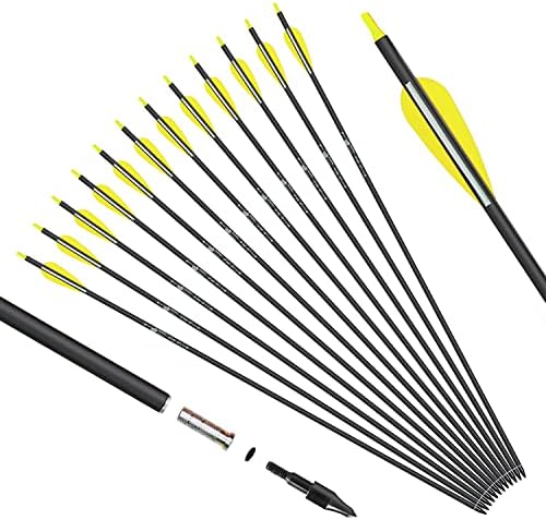 KESHES Archery Carbon Arrows for Compound & Recurve Bows – 30 inch Youth Kids and Adult Target Practice Bow Arrow – Removable Nock & Tips Points (12 Pack) KESHES Archery Carbon Arrows for Compound & Recurve Bows – 30 inch Youth Kids and Adult Target Practice Bow Arrow – Removable Nock & Tips Points (12 Pack)