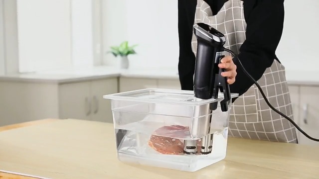 Amazon.com: Sous Vide Cooker Immersion Circulator IPX7
