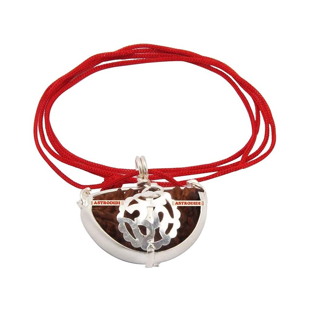 Rudraksha 1 face certifié avec laboratoire perle spirituelle hindoue pour méditation