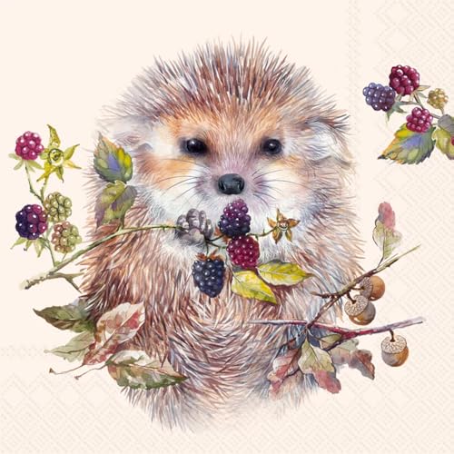 IHR Ideal Home Range Cocktail Napkins Disposable 3-Ply Paper Party Napkin Pack, 5" x 5", Forest Hedgehog, 20-Count
