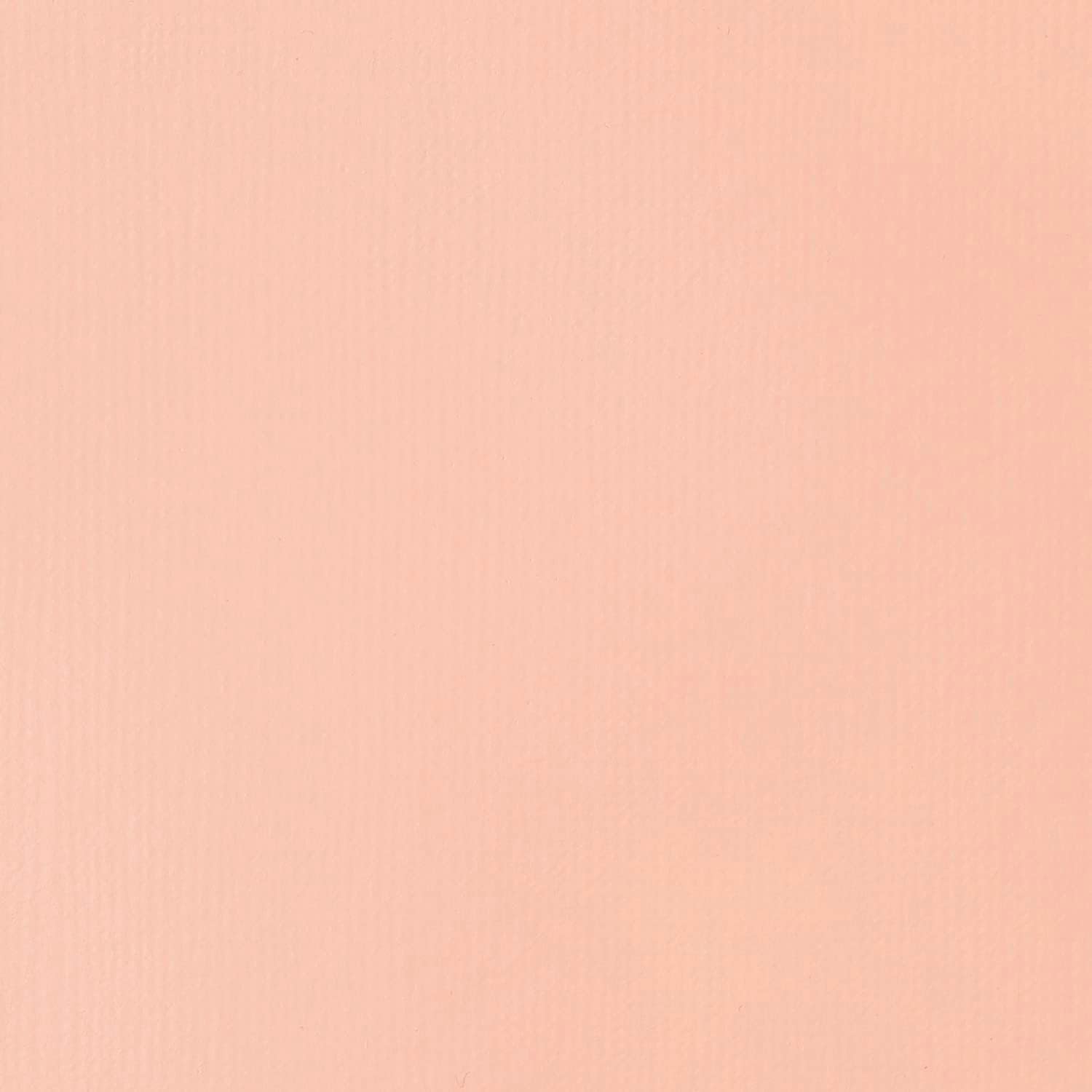 Liquitex Basics Fluid Acrylic Paint 4oz Light Pink