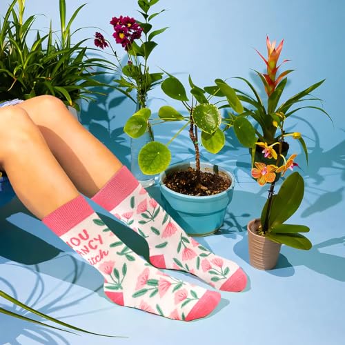 Image of Funny Socks for Women and Teenage Girls, Cute Crazy Unique Novelty Gifts
