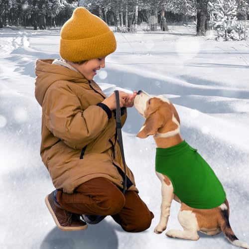 Hundemantel Mit Geschirr für Kleine Hunde - Hundepullover, Chihuahua Kleidung, Wintermantel für Innen und Außeneinsatz (Grün, L)