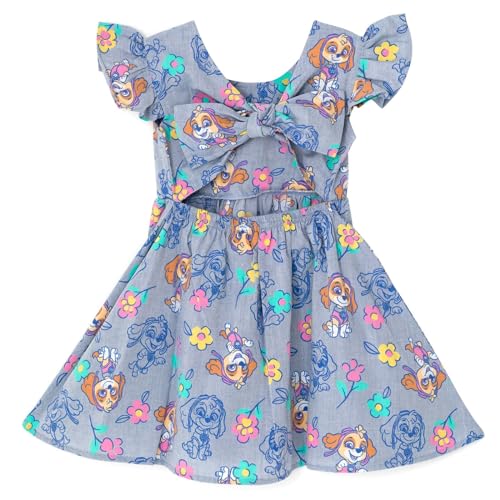 Paw Patrol Skye Floral Girls Chambray Skater Dress Toddler to Little Kid3