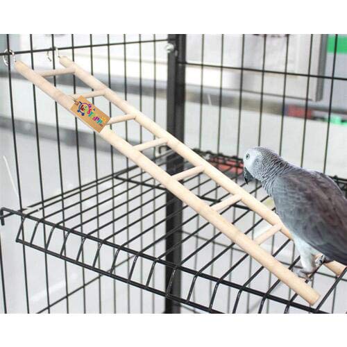 Western Era 5 Stairs Fun Natural Wooden Ladder Toy for Training, with Hooks, Designed for Birds, Parrot, Budgies and Other Small, Medium Large Bird (26cm) 4