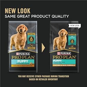Purinaproplanhighproteinpuppyfoodshreddedblendchickenriceformula34lbbag Urban Country Home Decor Purina pro plan high protein puppy food shredded blend chicken rice formula 34 lb bag urban country home decor