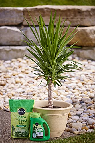 Miracle-Gro Shake 'N Feed Palm Fertilizante 8 lb 4-Pack miniatura 2
