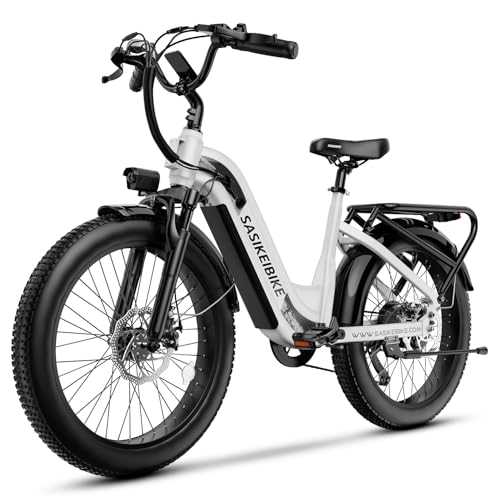 Electric Bike for Adults,1000W/1500W Peak Motor Ebike, 48V 15/20A...