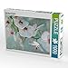Produktbild CALVENDO Puzzle Weiß Blaue Orchidee 1000 Teile Lege-Größe 48 x 64 cm Foto-Puzzle Bild von Alaya GADEH