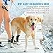 NeoAlly Dog Leg Brace [Long Version] Canine Hind Hock Support with Safety Reflective Straps for Injury and Sprain Protection, Wound Healing and Loss of Stability from Arthritis (Blue XS Pair)