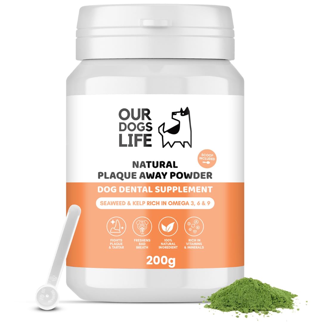 DogsLife Plaque Off Powder for Dogs - 200g, White