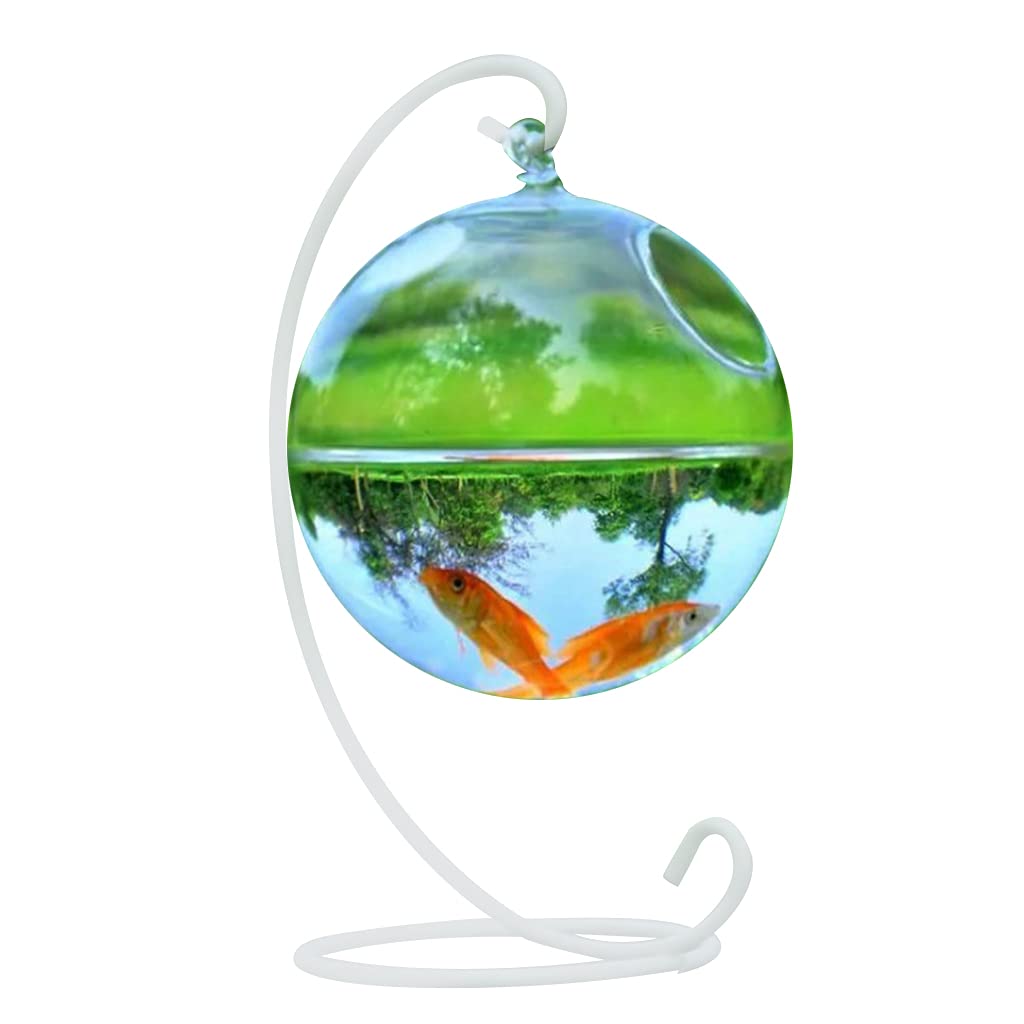 TENYELE Desk Hanging Fish For Tank Bowl For Tank Flower Plant Vase Hanging Ball Glass Clear Round Shape Save Space Convenie Glass Bowls With Stand