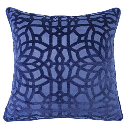 Homey Cozy Modern Velvet Throw Pillow Cover,Sapphire Luxury Soft Fuzzy Cozy Warm Slik Decorative Square Couch Cushion Pillow Case 20 x 20 Inch, Cover Only