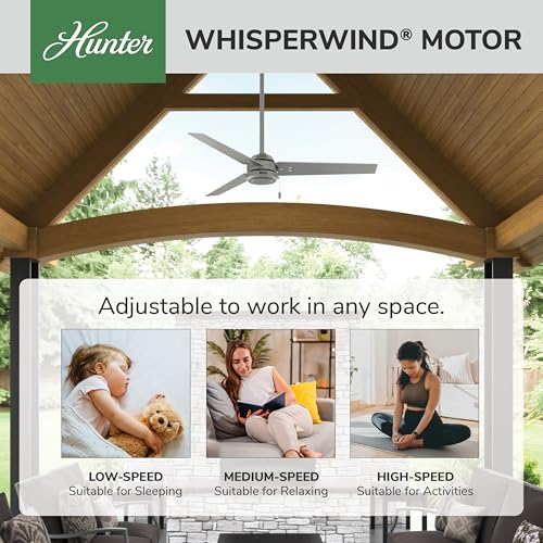 Image of Hunter Cassius, Outdoor or Indoor, Ceiling Fan, 52 inch, Matte Silver