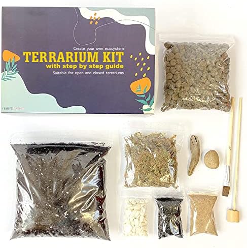 Terrarium DIY Kit for Succulents and Cacti Plants with Step by Step Guide Includes Soil Charcoal Pebbles Sphagnum Moss Sand Driftwood & Brush (Small)