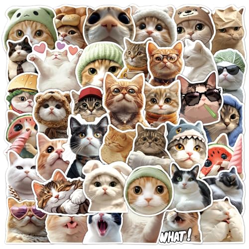 Pegatinas para gatos - Pegatinas de gatos para pegatinas de vinilo impermeables para botellas de agua | Pegatinas estéticas para álbumes de recortes, cuadernos, ordenadores portátiles, Papa